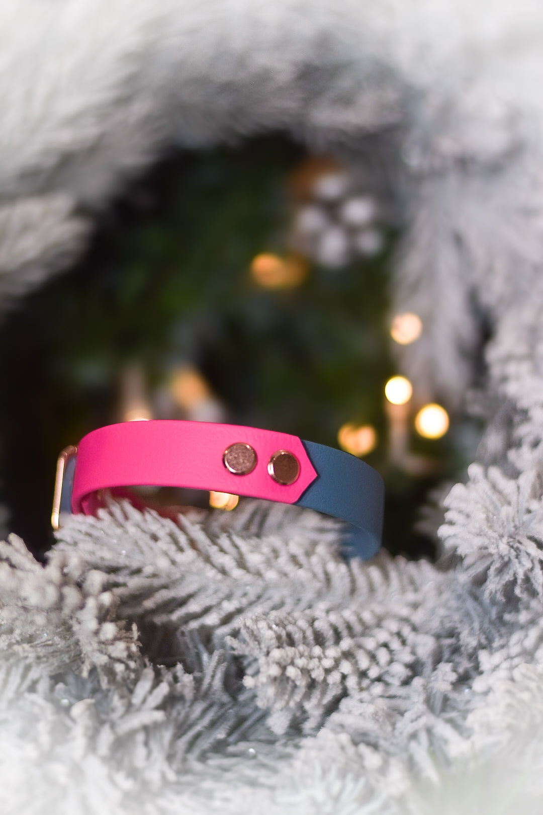 Mystery Arrow Explorer Collar