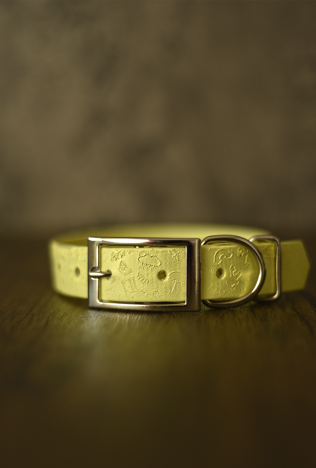 Silly Goose - Embossed Explorer Collar