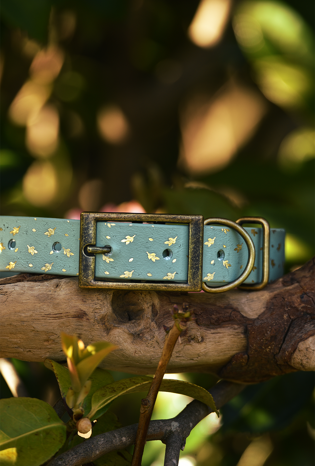 Woodland Bloom - Embossed Explorer Collar