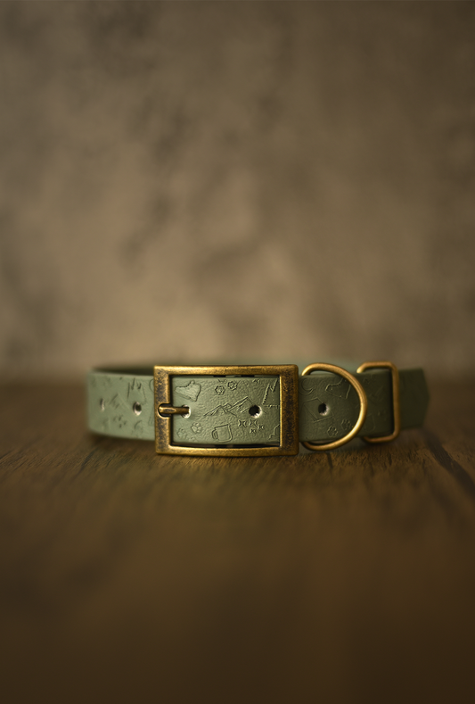 Happy Camper - Embossed Explorer Collar