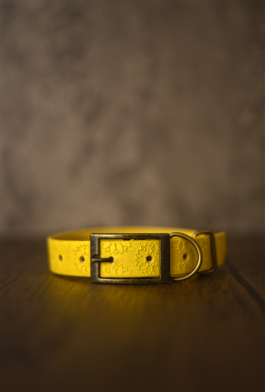 DYO Sunflower Meadow - Embossed Explorer Collar
