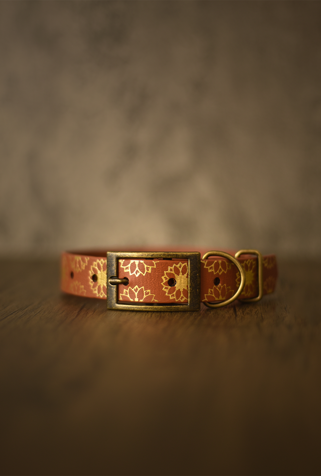 Sunflower Meadow - Foil Embossed Explorer Collar