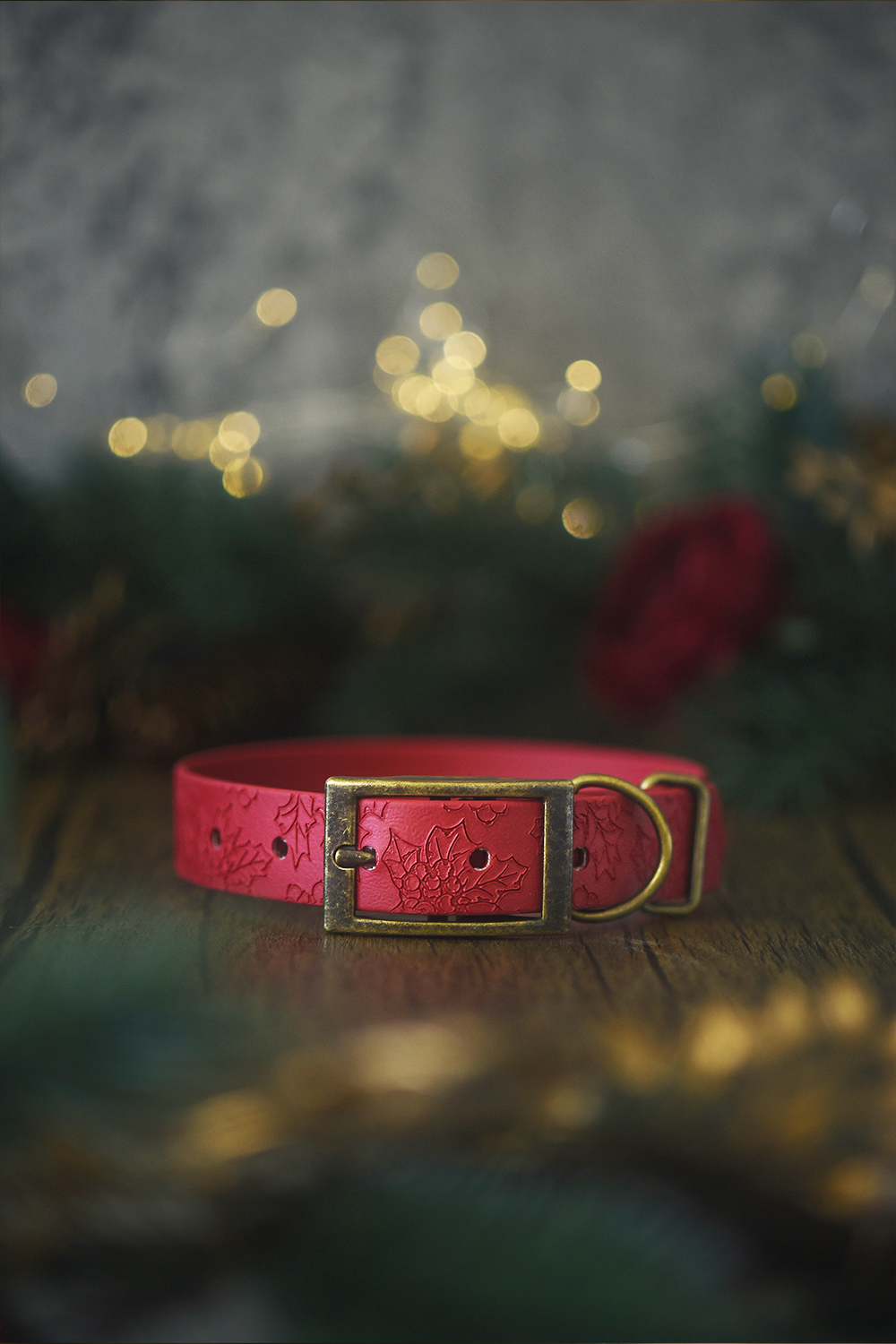 Holly Bush - Embossed Explorer Collar