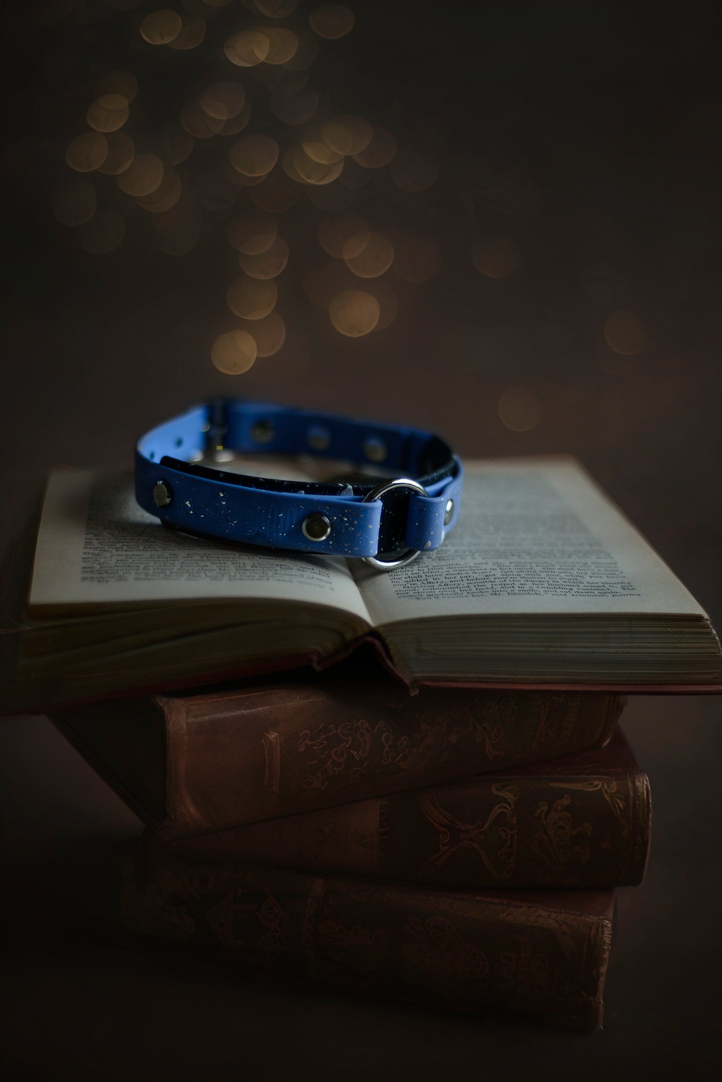 DYO SS Bookkeeper Explorer Collars