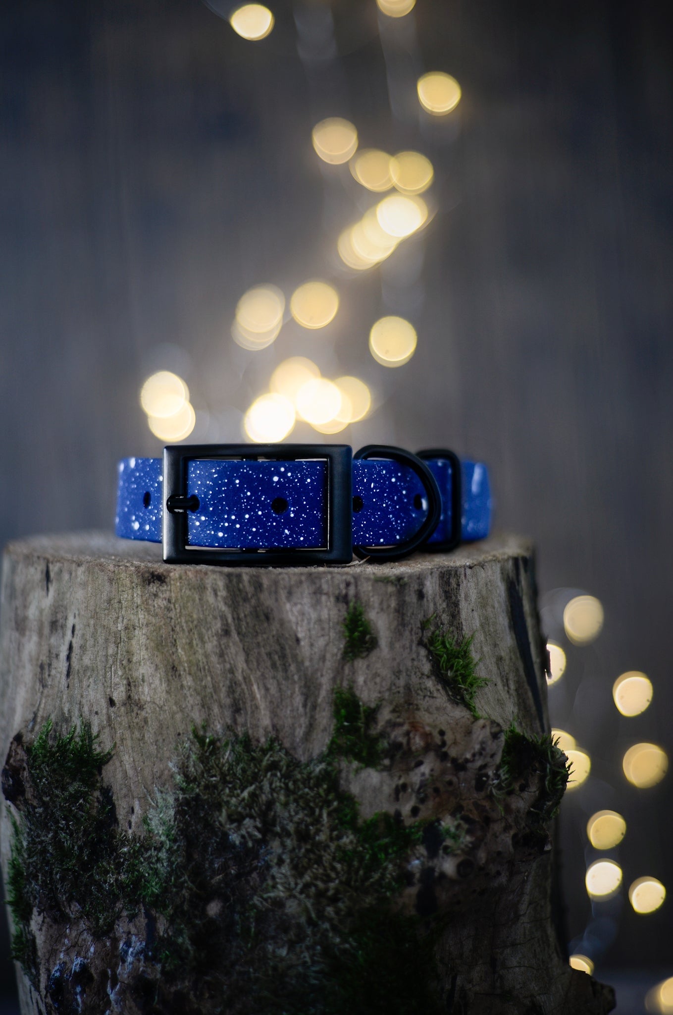 Mystery Speckled Stars Explorer Collar