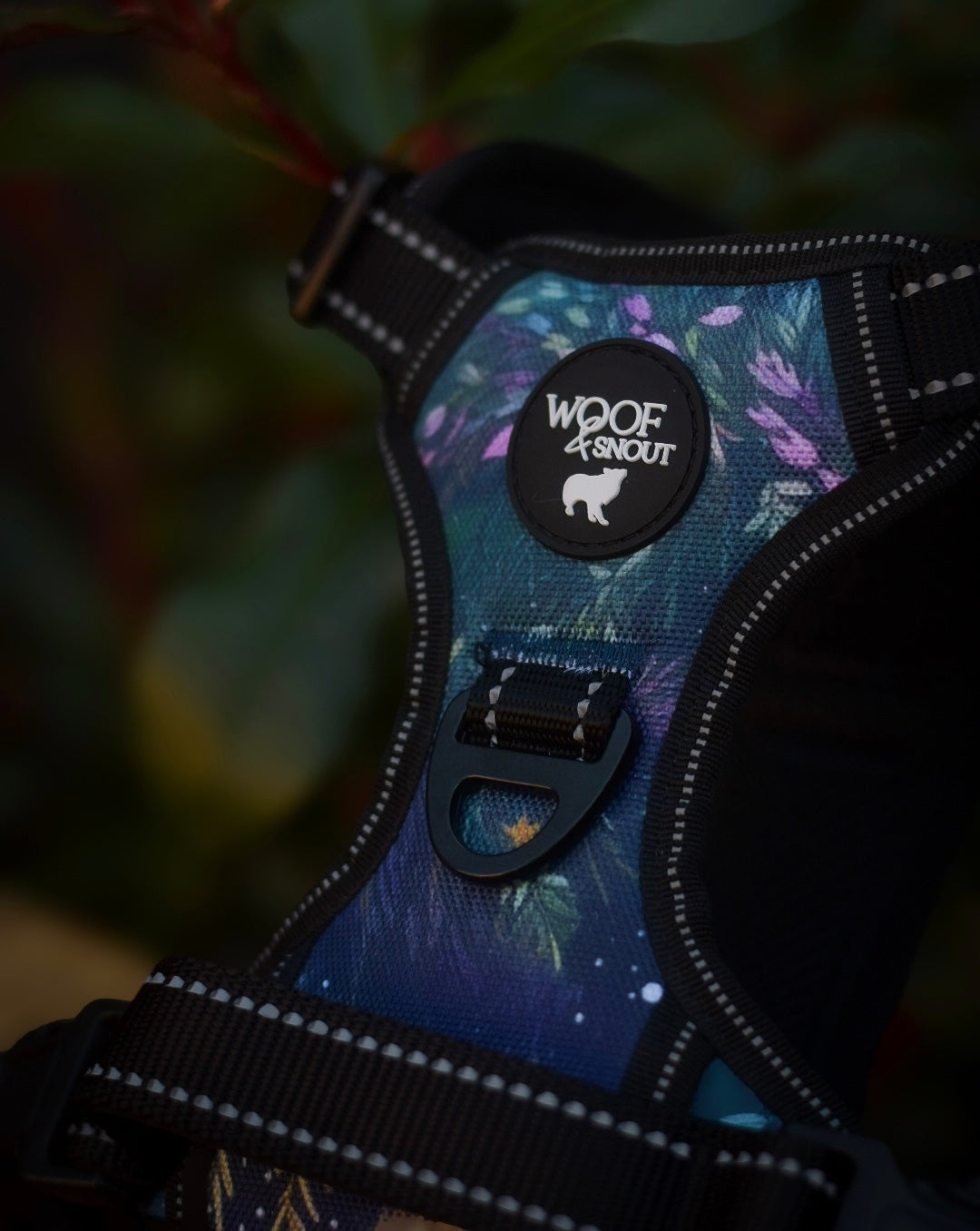 Aurora Explorer Pro Dog Harness