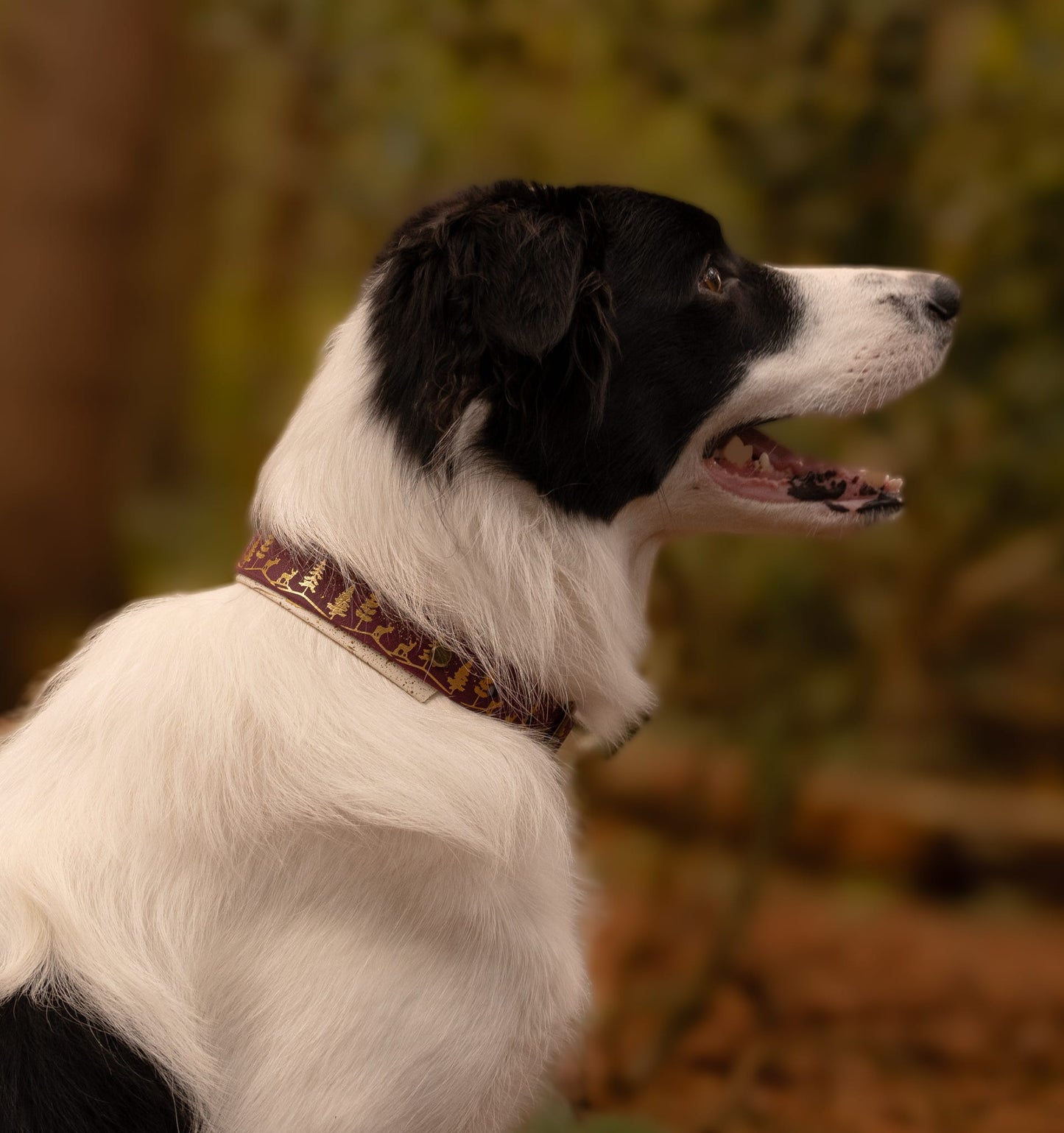 Fawn Hollow - Embossed Hound Collar