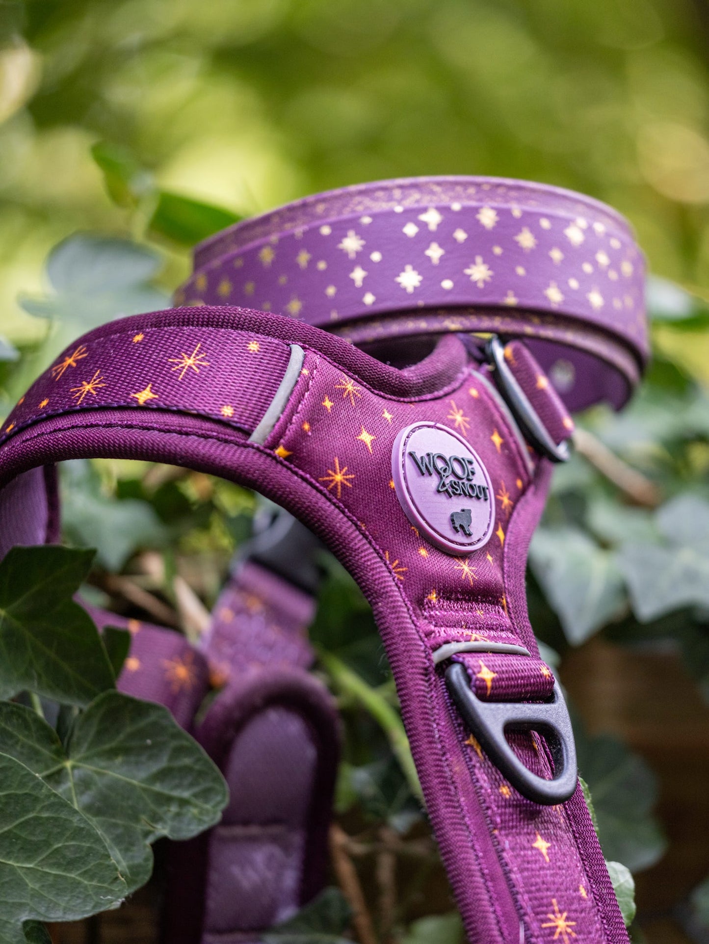 Starlight - Embossed Hound Collar