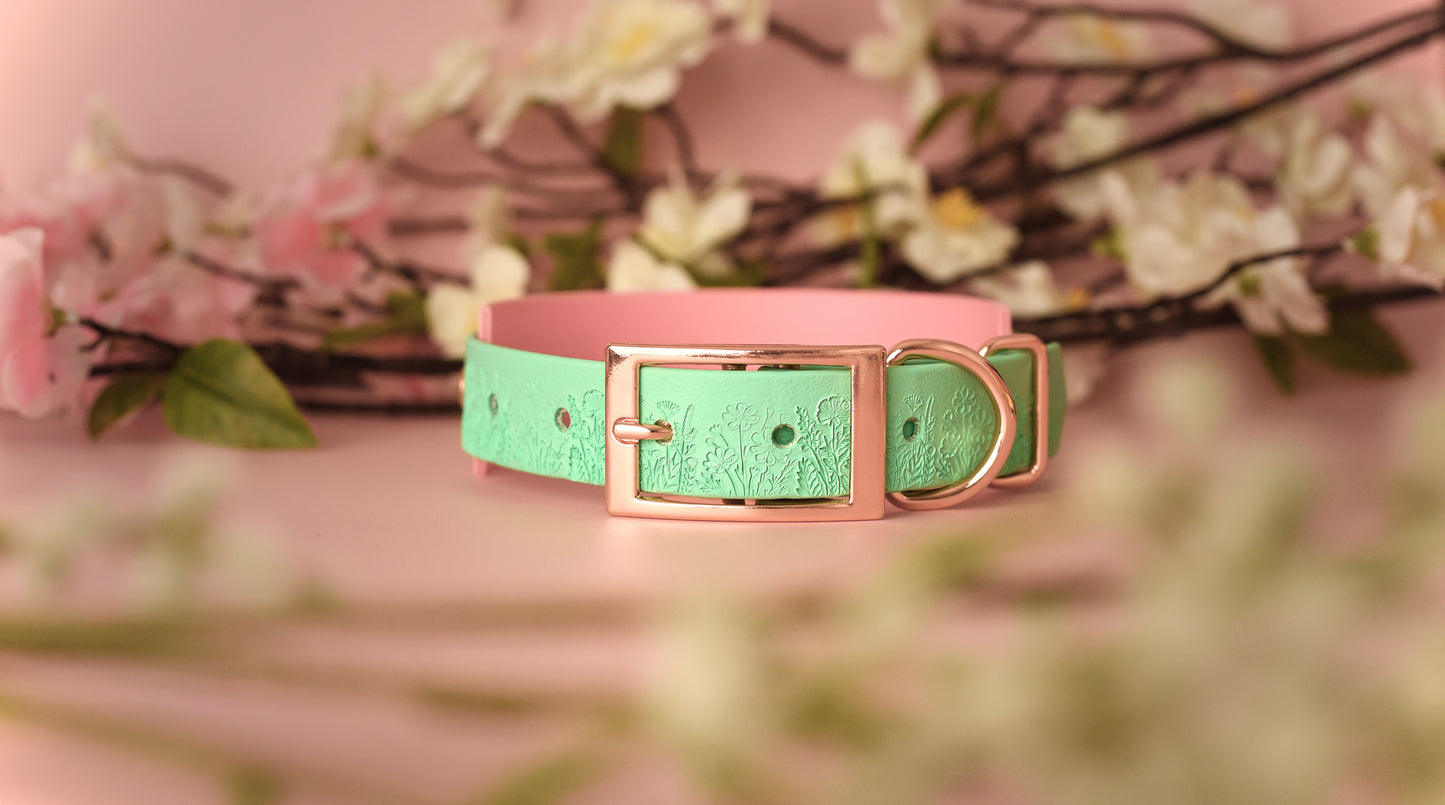 DYO Wildflower - Embossed Hound Collar