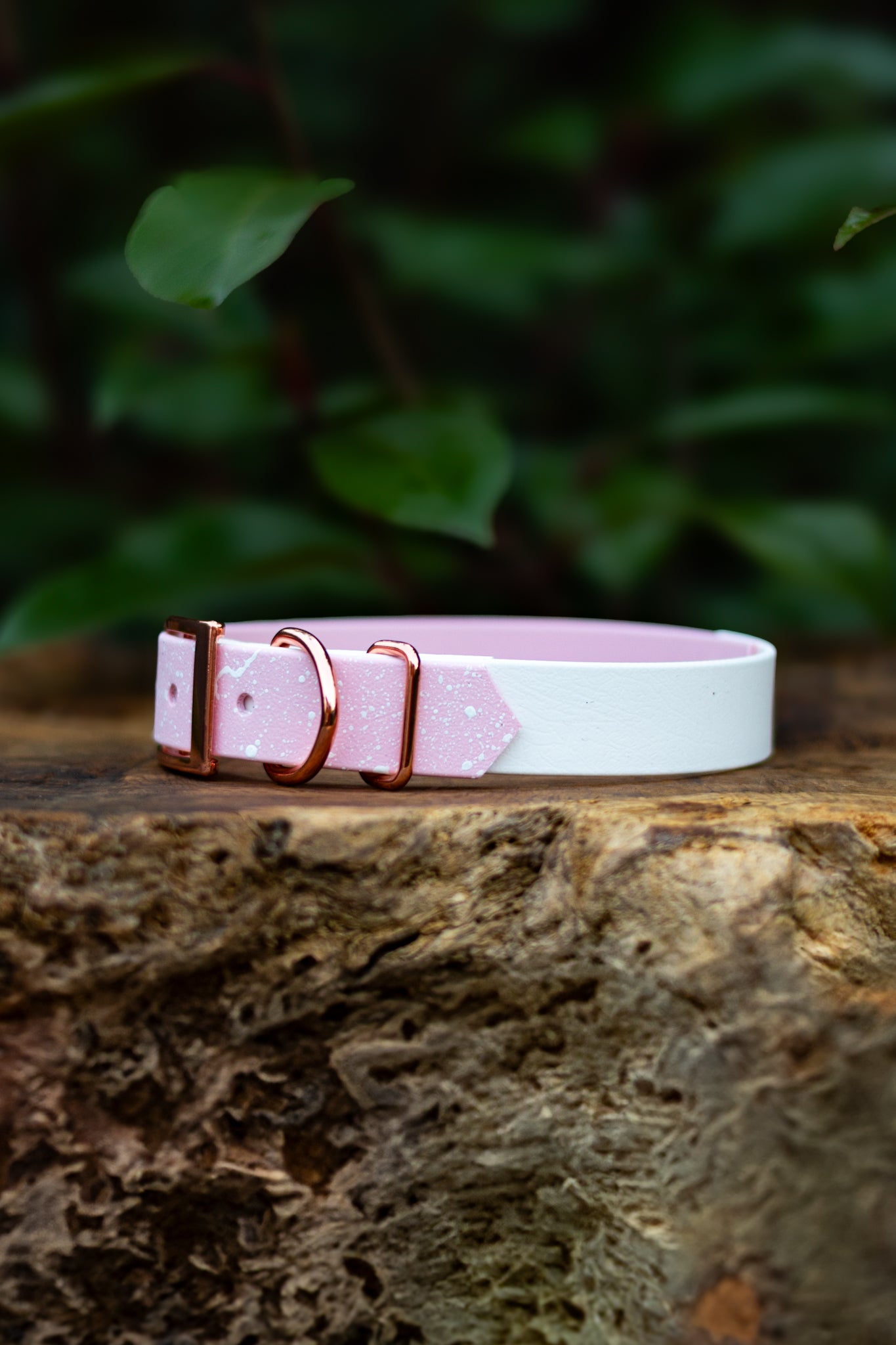 Frosted Petal S&Sp Explorer Collar
