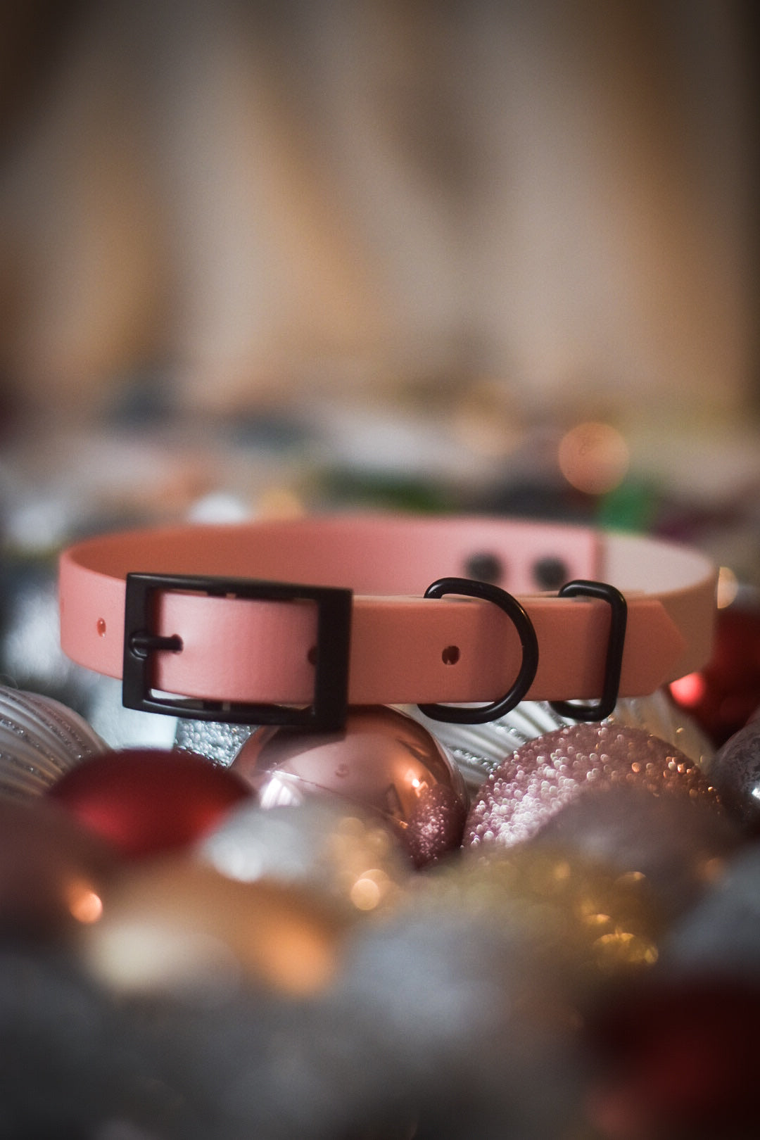 Cotton Candy - Explorer Collar