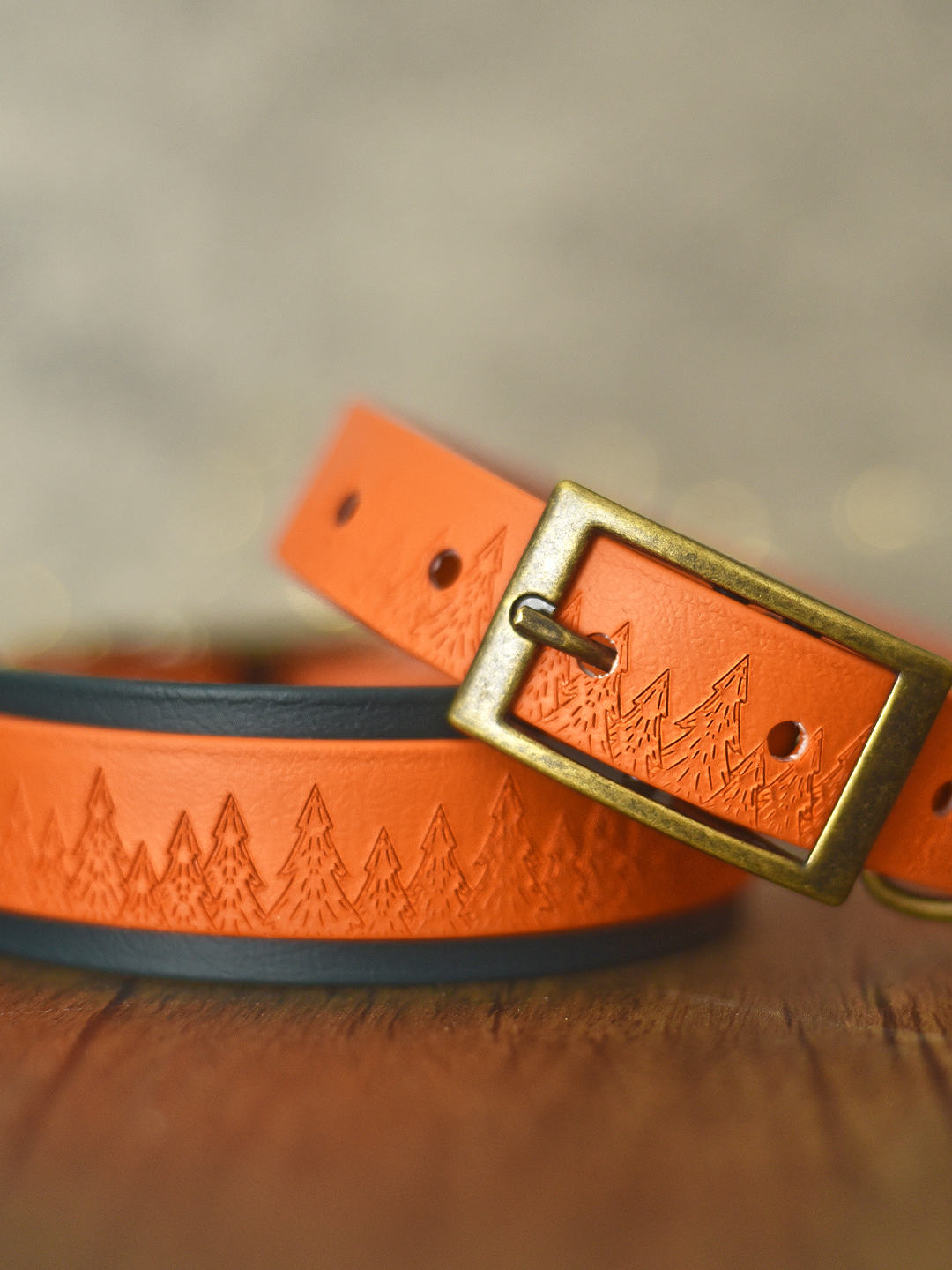Forest Haven (Ember Moors) - Embossed Hound Collar