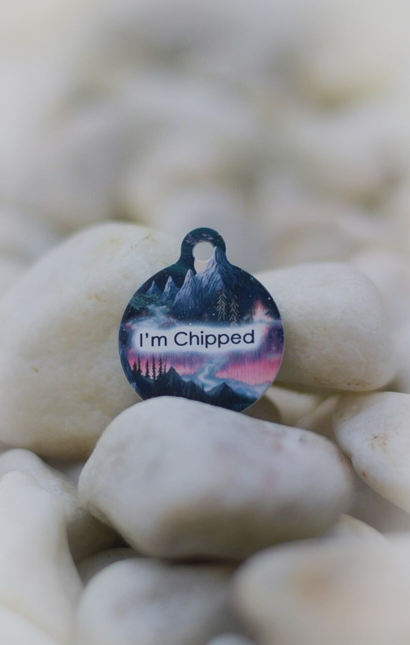 Aurora Dog ID Tag