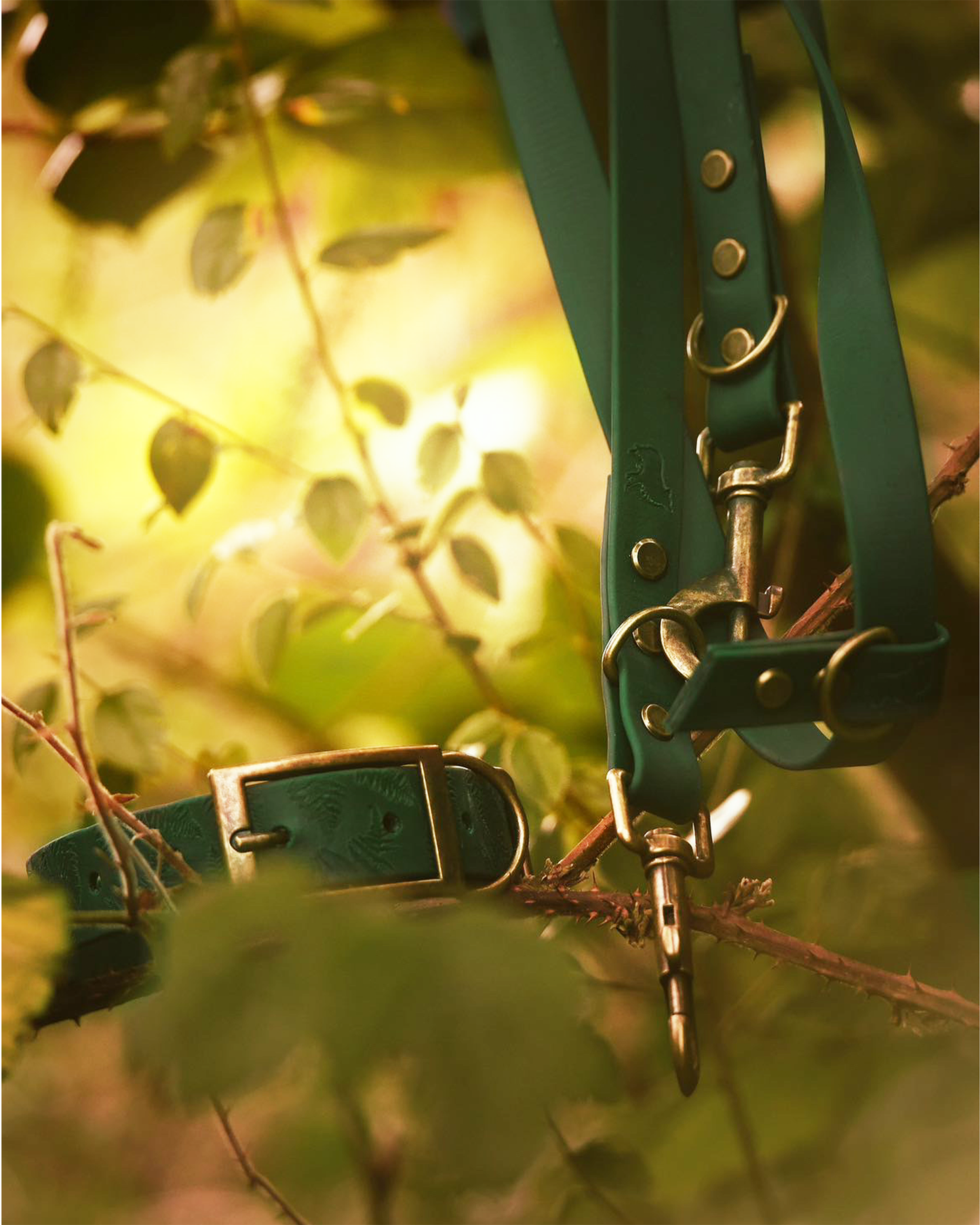 Handsfree Multiway Dog Lead
