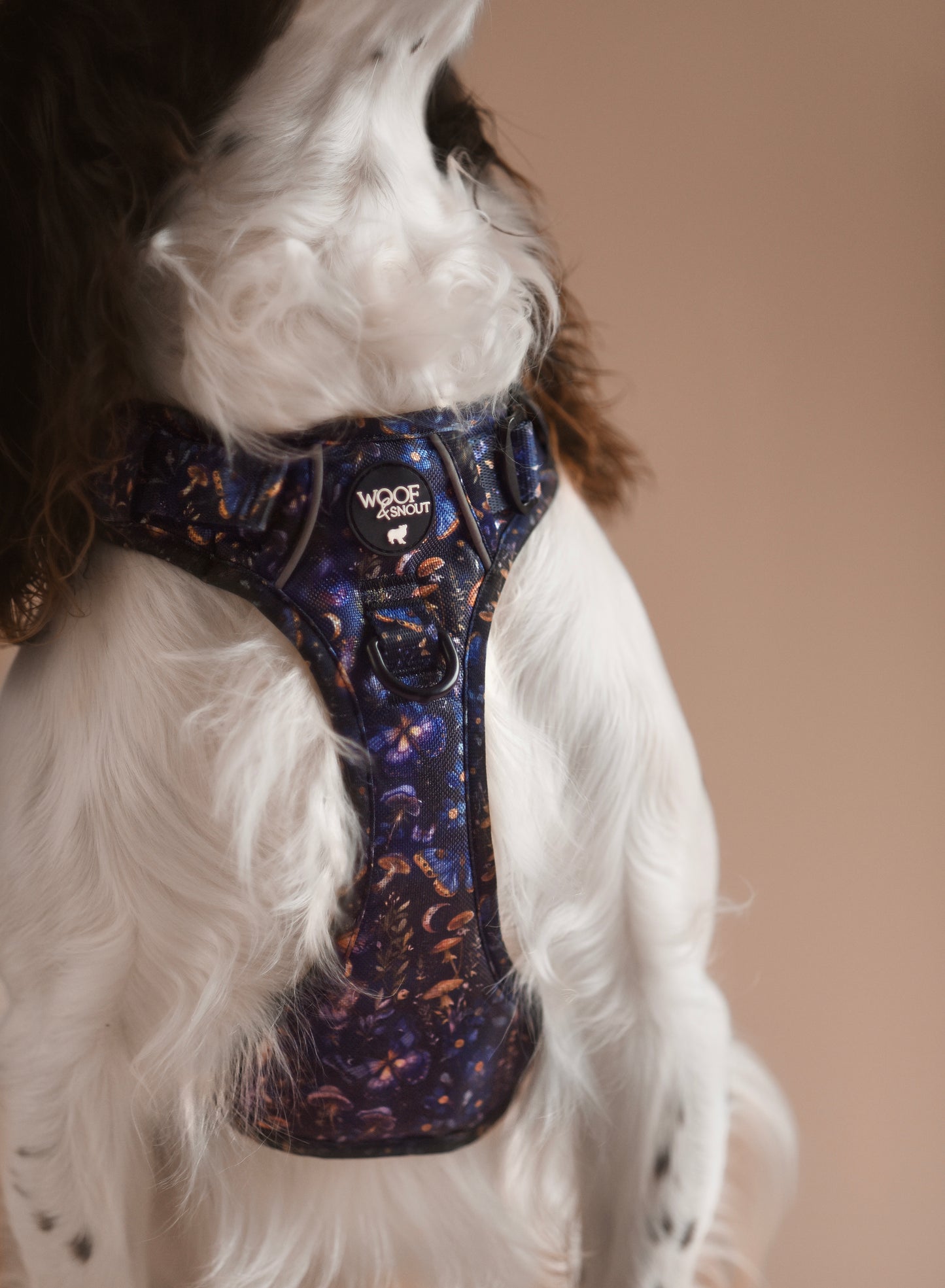 Twilight Faye Explorer-Lite Dog Harness