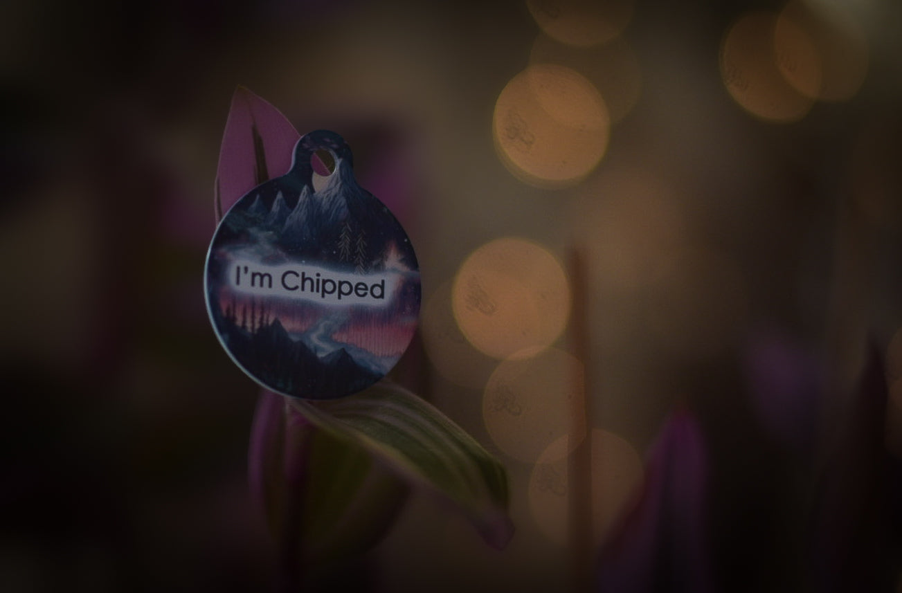 Aurora Dog ID Tag