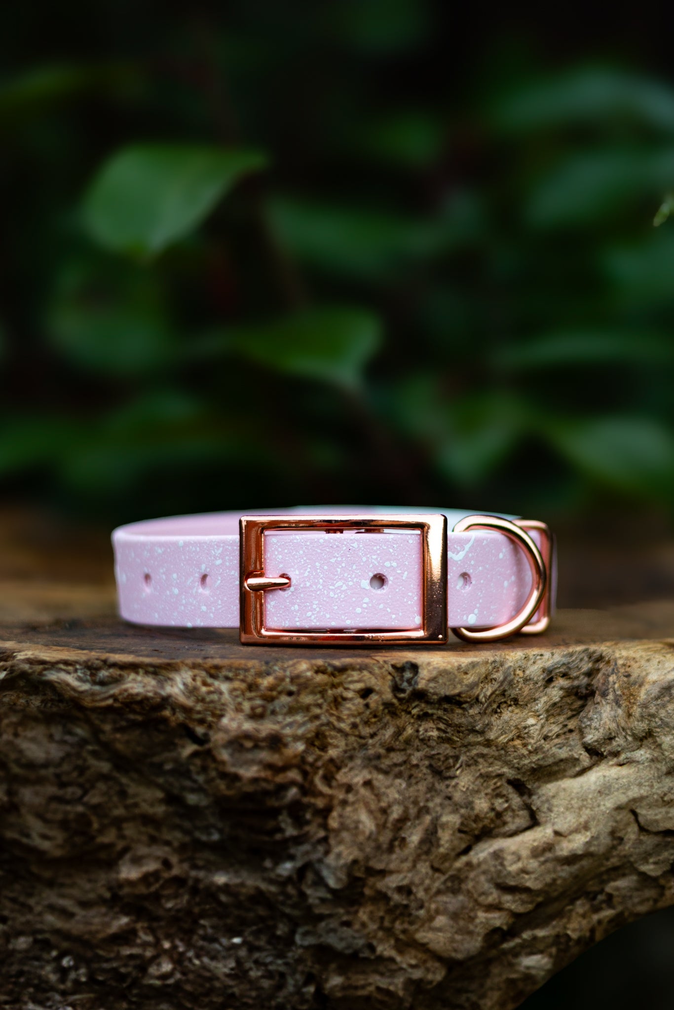 Frosted Petal S&Sp Explorer Collar