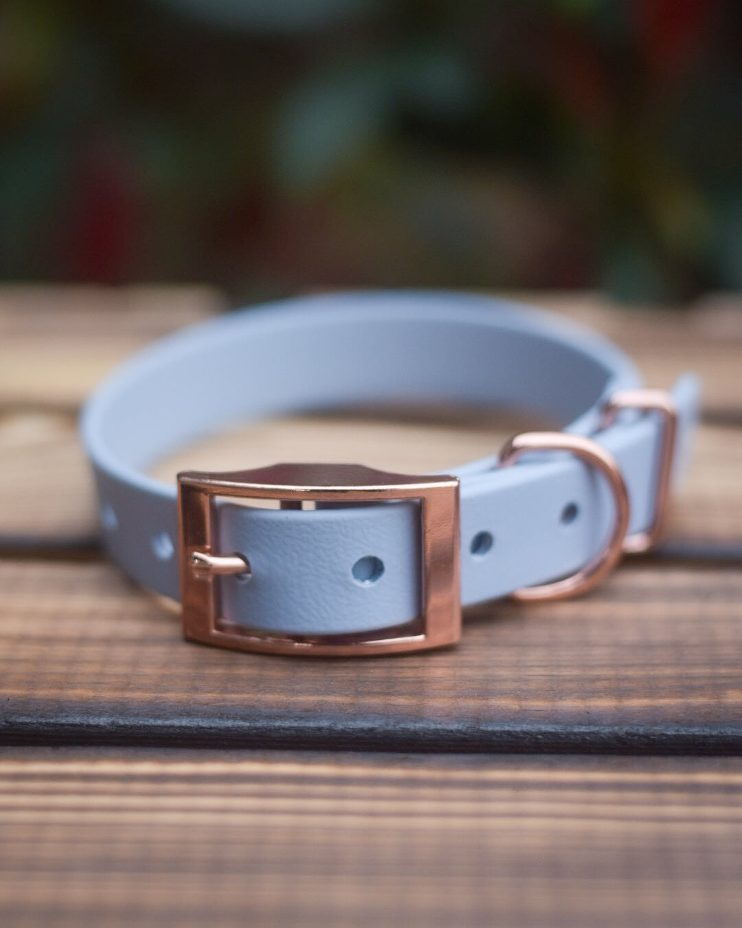 Baby Blue - Explorer Collar