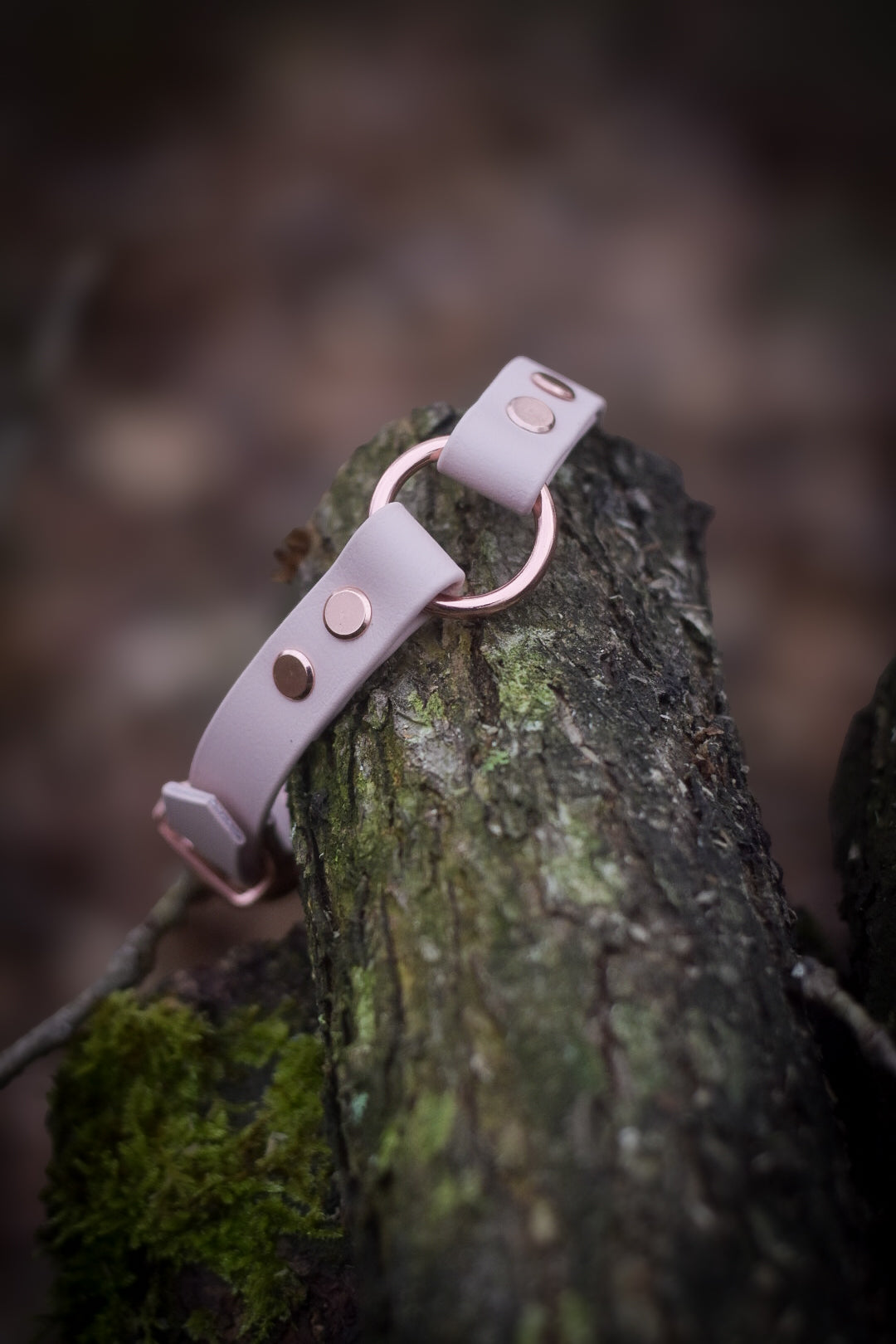Custom Halo Explorer Collars