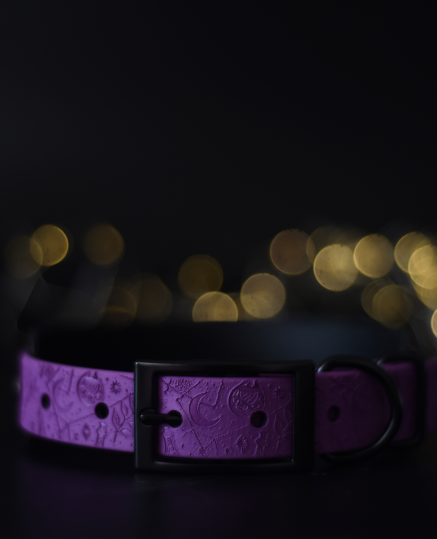 Spellbound - Embossed Hound Collar
