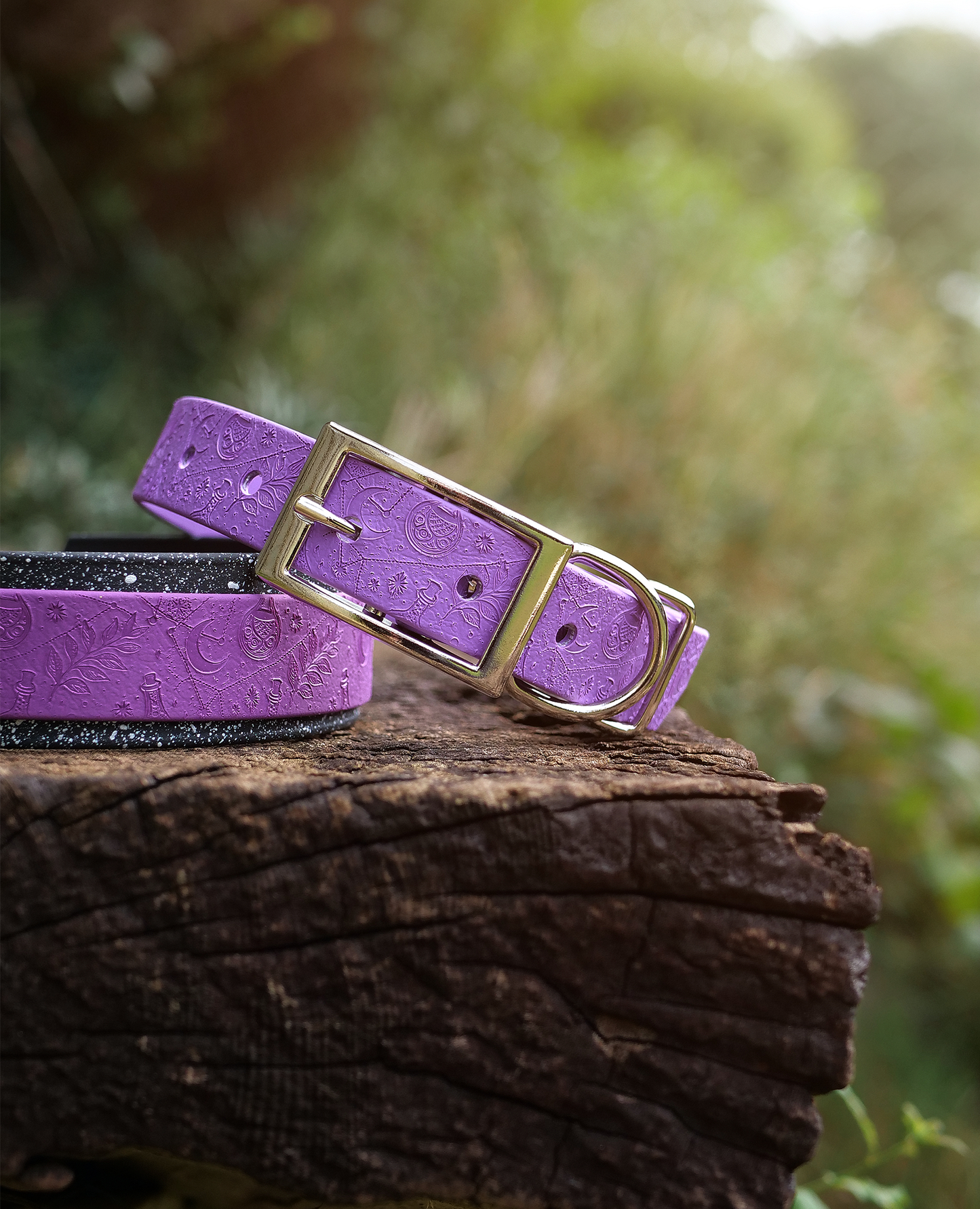 Spellbound - Embossed Hound Collar