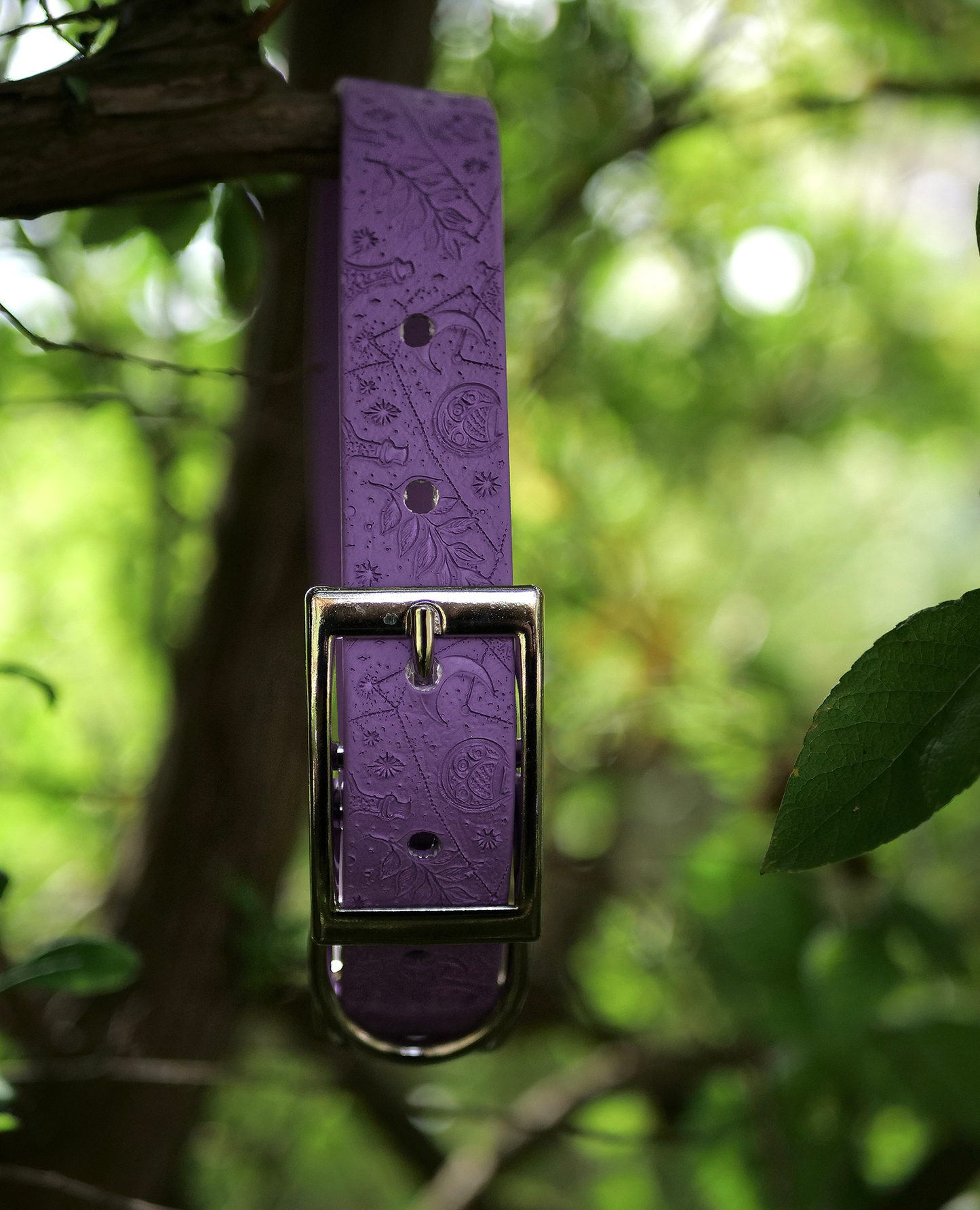Spellbound - Embossed Explorer Collar