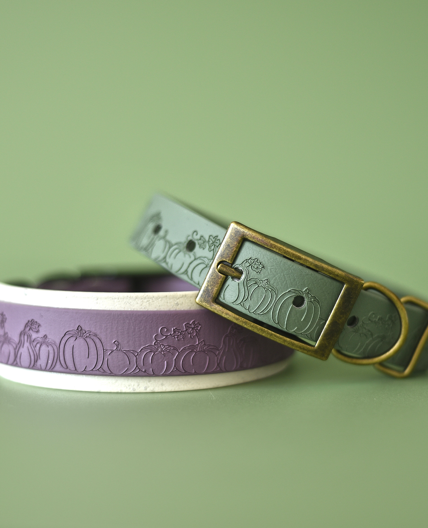 Pumpkin Patch - Embossed Hound Collar