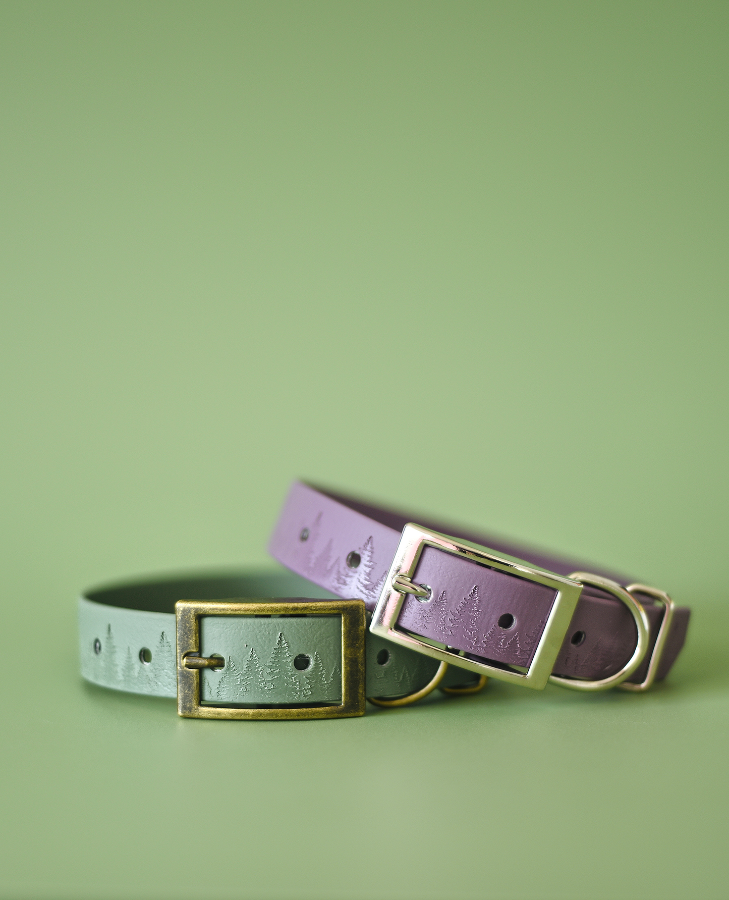 Pumpkin Patch - Embossed Hound Collar