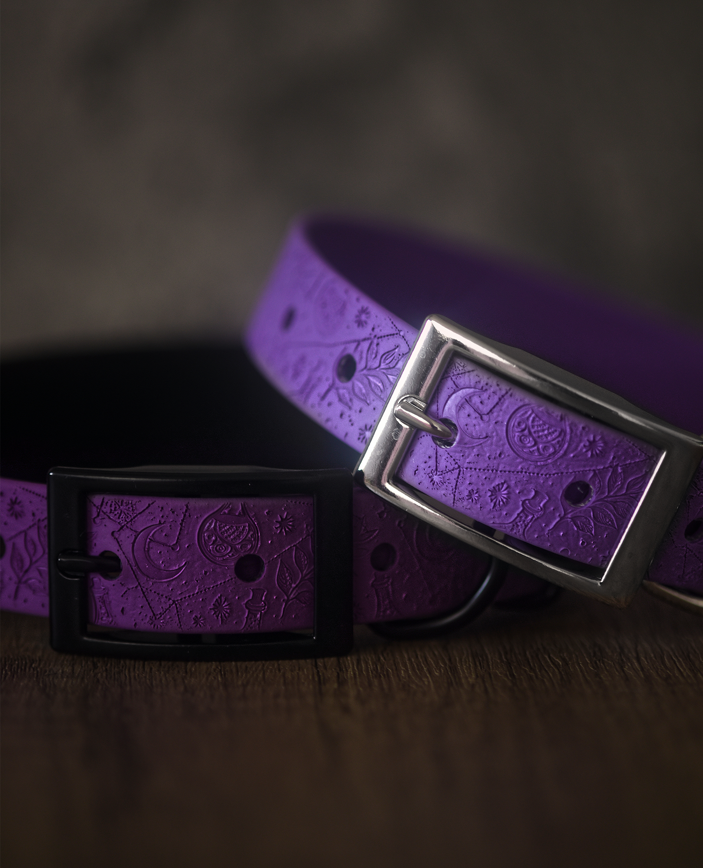 Spellbound - Embossed Hound Collar