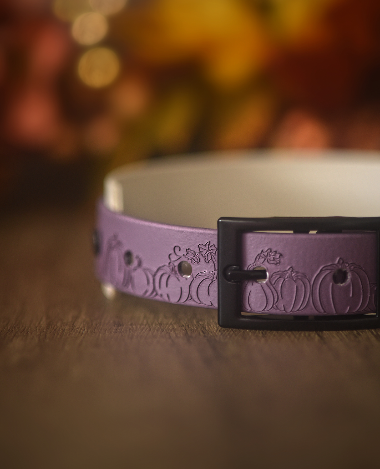Pumpkin Patch - Embossed Hound Collar