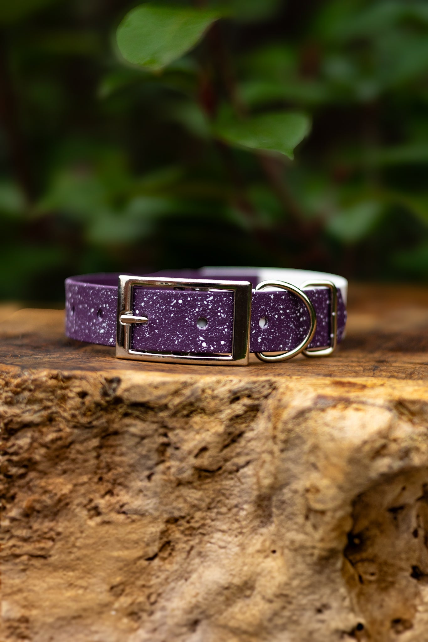 A Sloe Day - S&Sp Explorer Collar