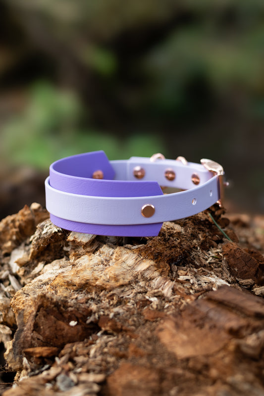 DYO Hound Full-Wrap Explorer Collars
