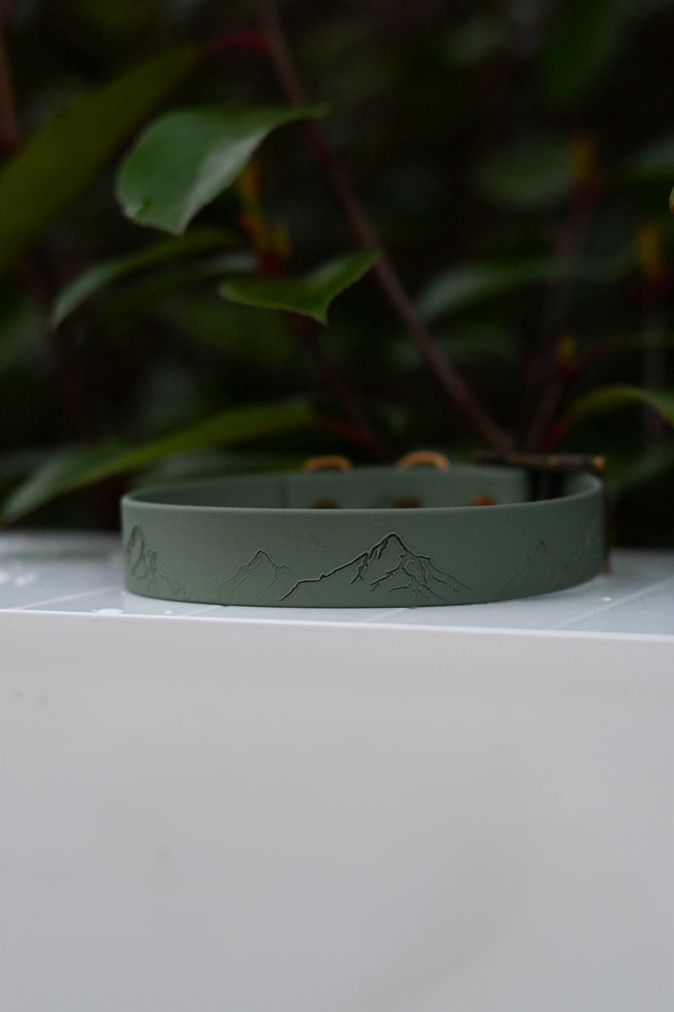 DYO Down to Earth - Embossed Explorer Collar