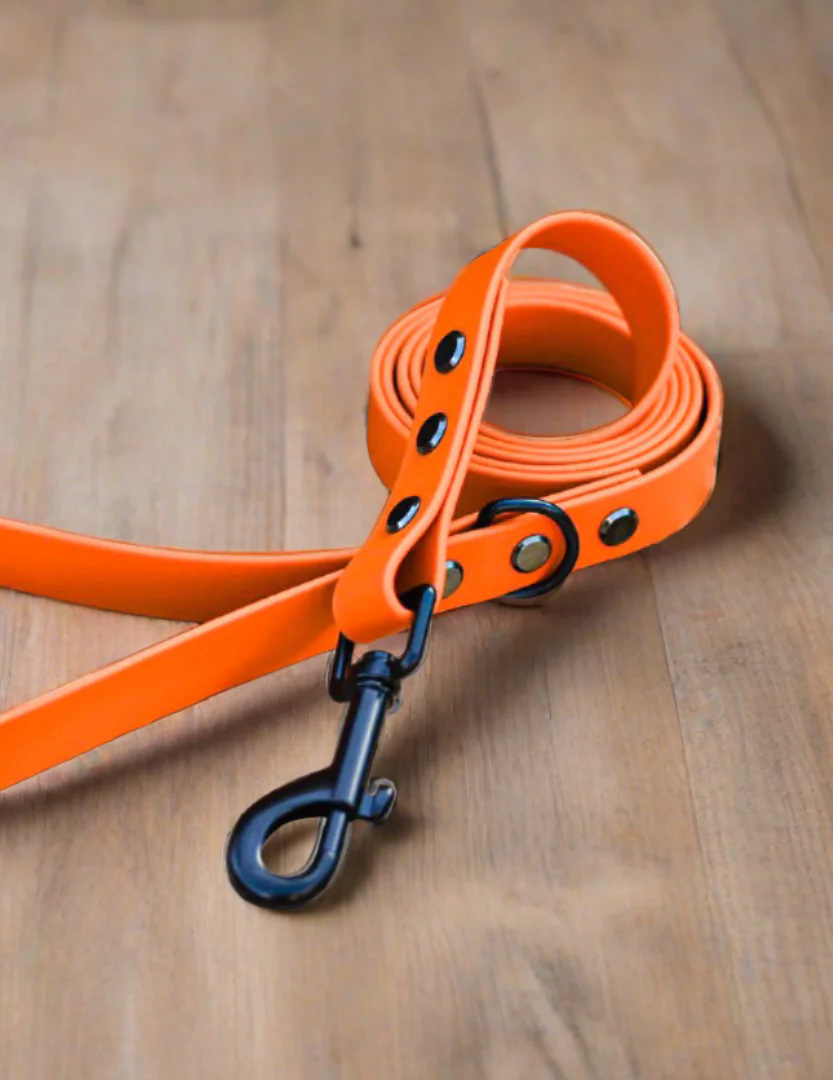 Mystery Biothane Dog Lead