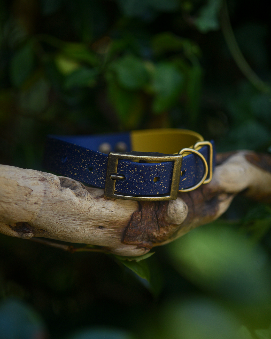 Storybook Sky - S&Sp Dog Collar
