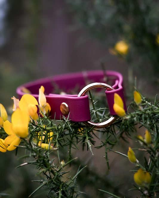 DYO Pure ID Collars