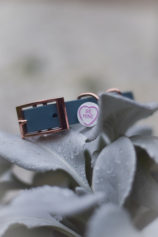 Blue Slate - Explorer Collar