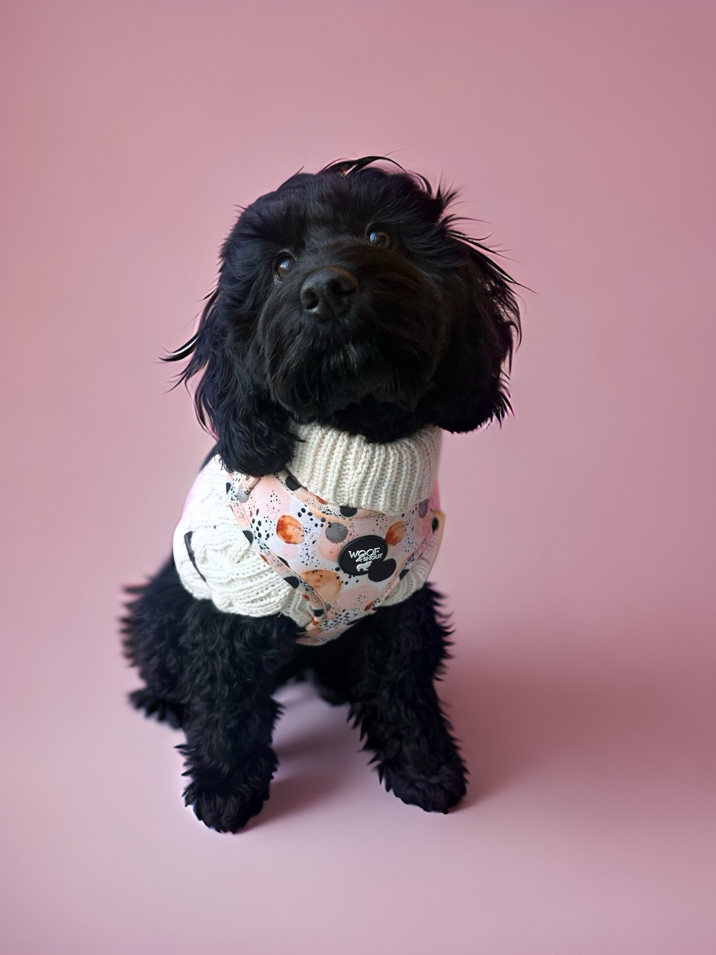First Dawn Harness