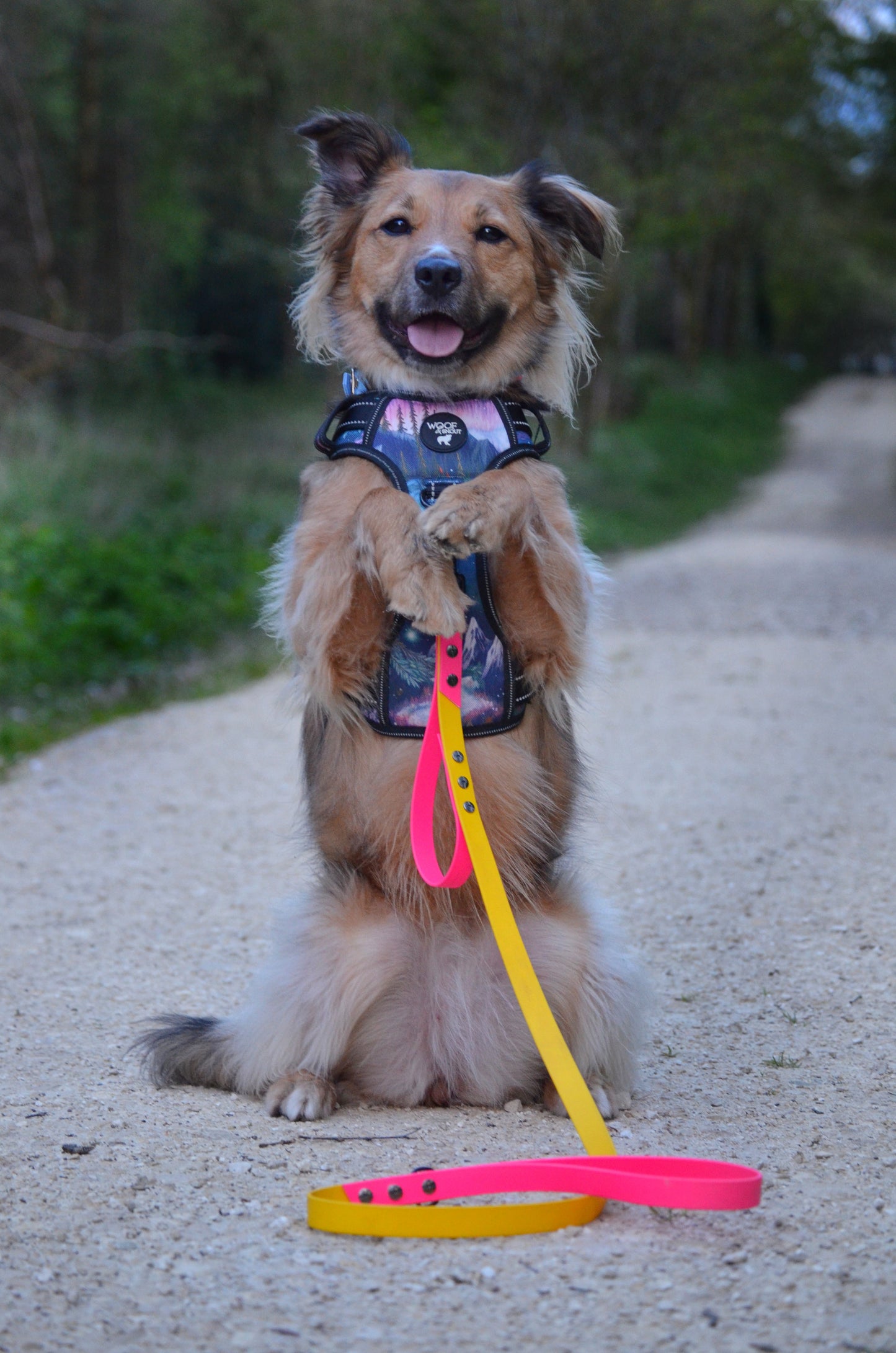 Biothane Dog Lead with Integrated Traffic Handle (Custom)