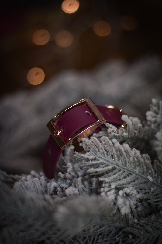 Merlot - Explorer Collar