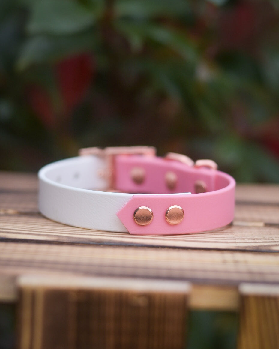 Winnie - Explorer Collar