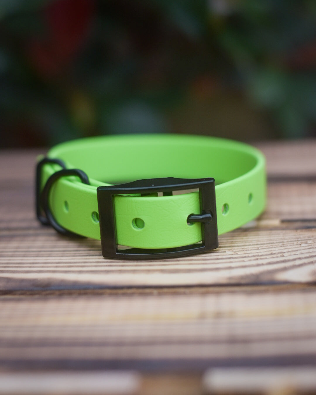 Custom biothane collar best sale