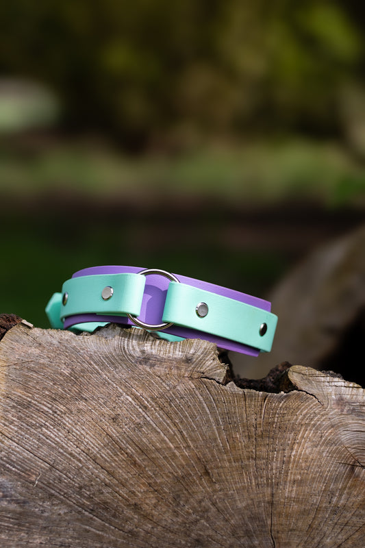 DYO Bookkeeper Explorer Collars