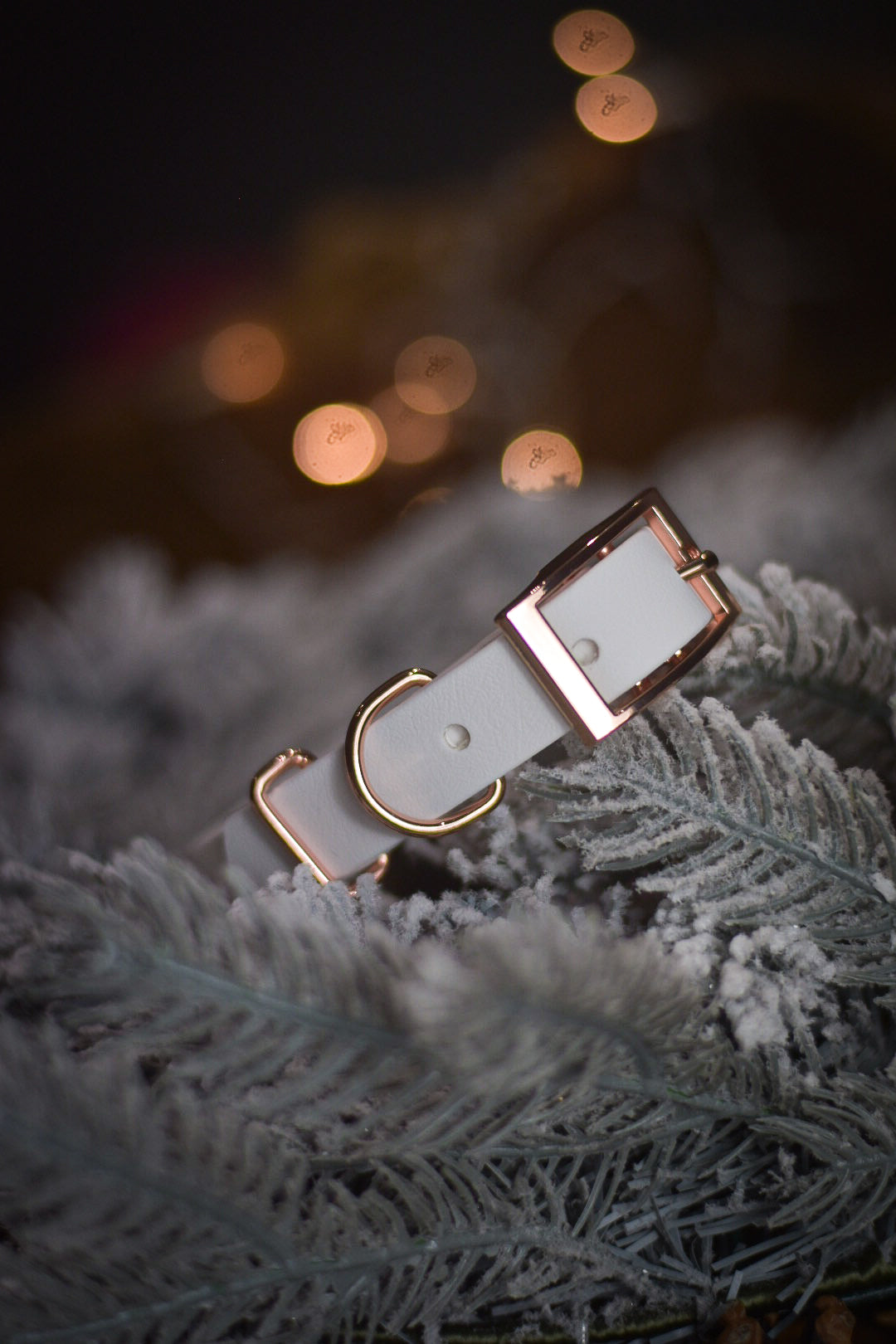 Snow White - Explorer Collar
