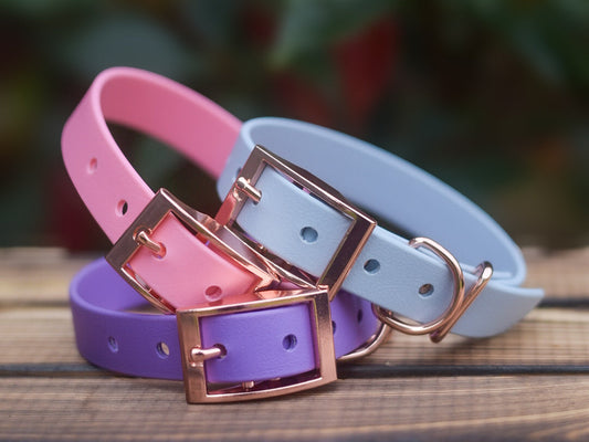 DYO Pure Explorer Collars