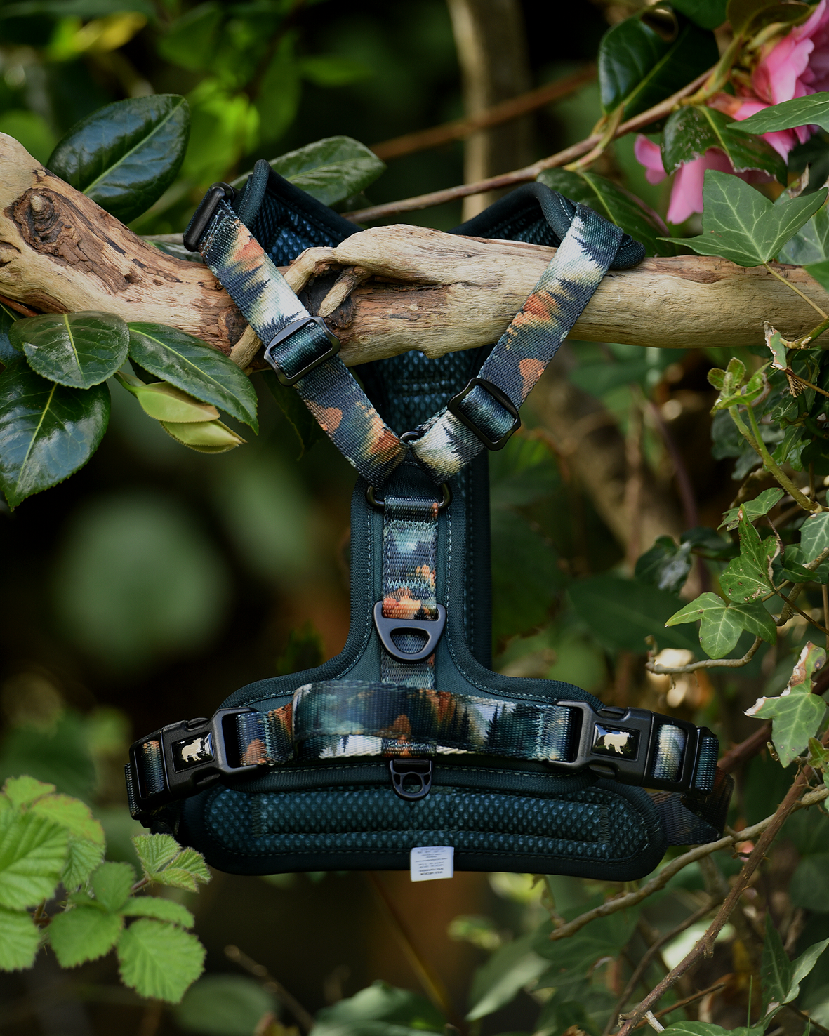 Ember Moors Explor-Air Dog Harness