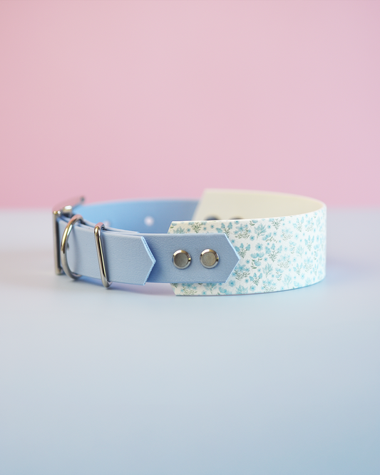 Memory Lane - Explorer Hound Collar