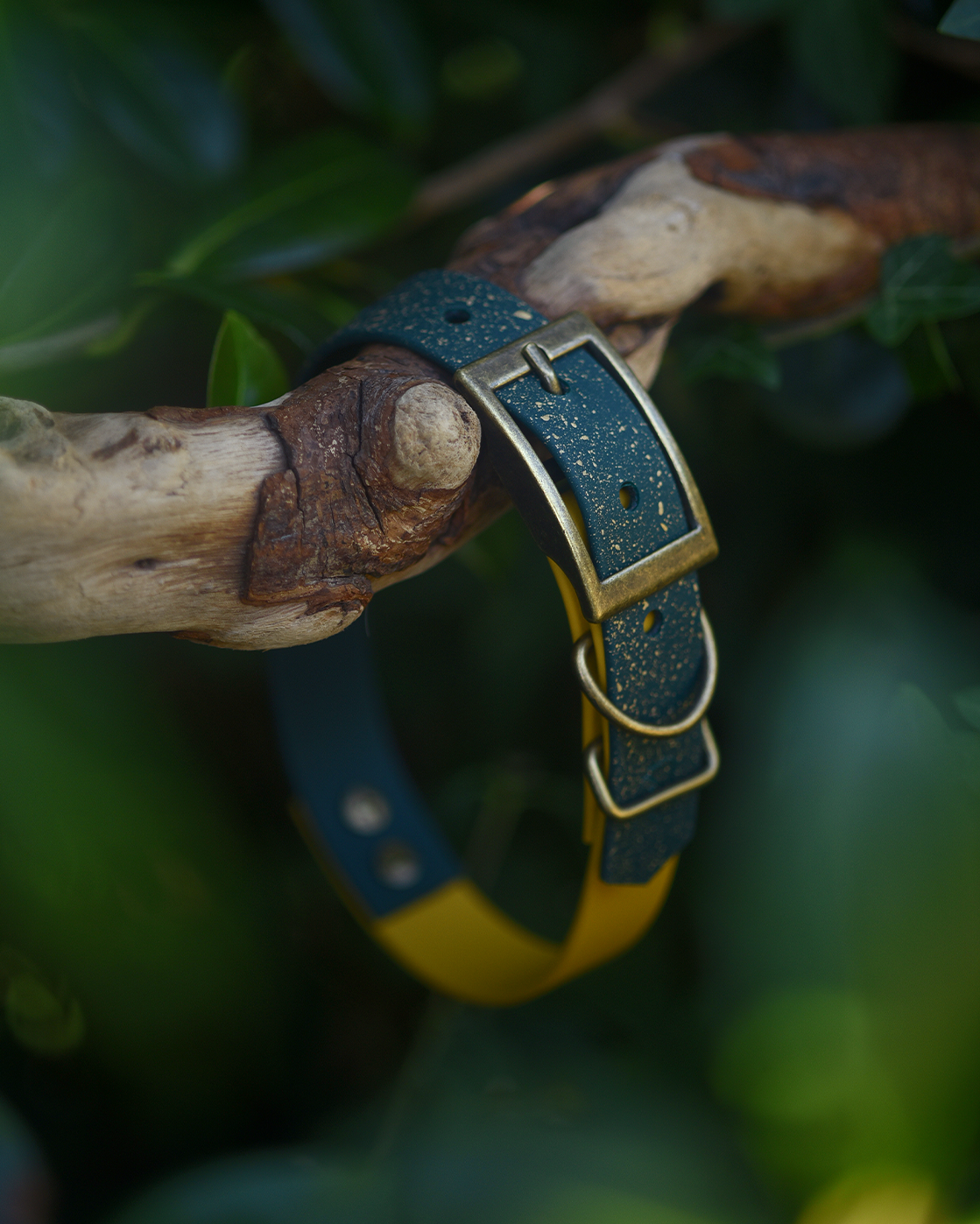 Woodland Verse - S&Sp Dog Collar