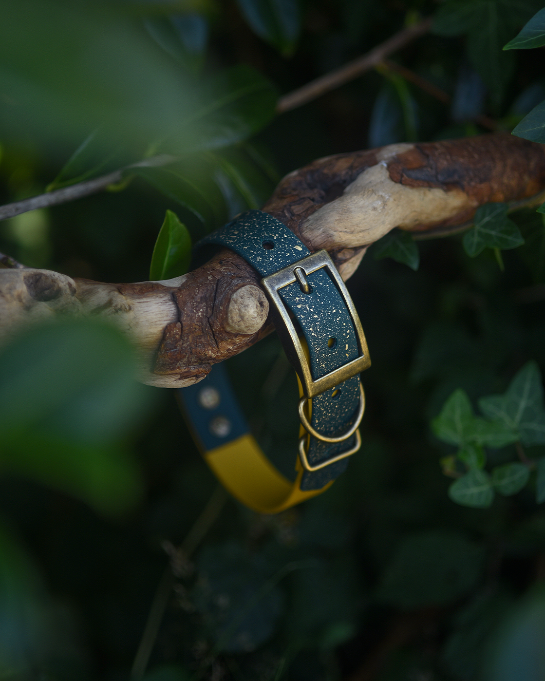 Woodland Verse - S&Sp Dog Collar