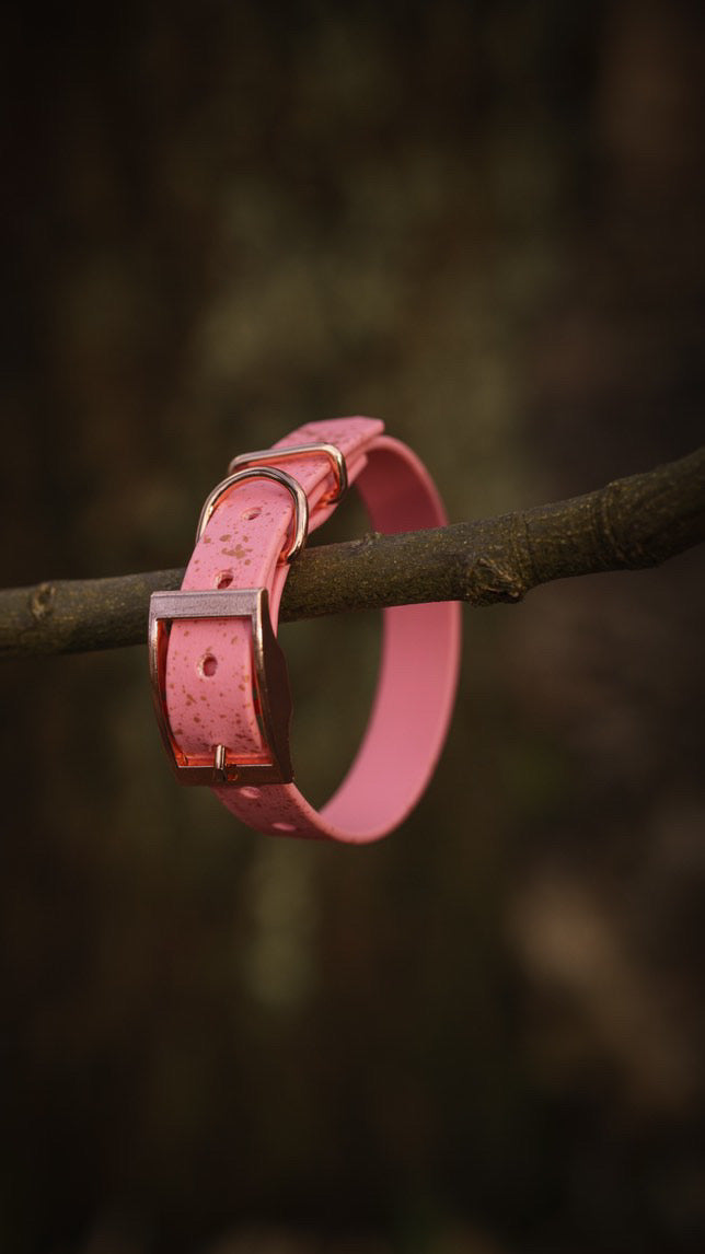 Sparkling Rose - SS Explorer Collar